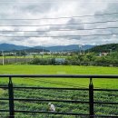 더진현풀빌라 이미지