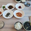 숙이네횟집 - 고성군 두포5길 430-4 | 숙이네횟집