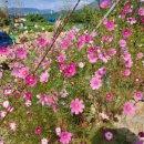 청희당한의원 이미지