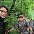 소백산김치 이미지
