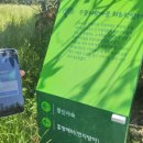 무선3길 이미지