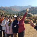 오토오아시스 홈플러스 세종점 이미지