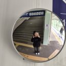 거진전망대펜션 | 좋아하게 됐어... 코레일이 기차표를 사줘서 더 좋아진 것도 있어... : 나 혼자 밀양 1박 2일 여행 후기