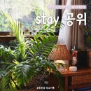 stay 공위 | [숙소] 'stay 공위' 제주 김녕 여성전용 아늑한 감성숙소