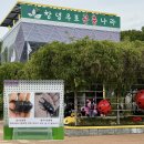 창녕우포곤충나라 | 경남 창녕 아이랑 가볼만한곳 ‘창녕우포곤충나라’ 입장료 생태곤충원