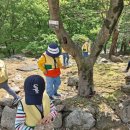 고산 산림교육센터 이미지
