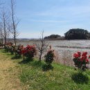 슬기로운 펜션 이미지