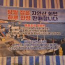 홍등초장