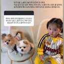 해피 - 화성시 효행로291번길 24 | 해피