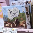 테리베리스 | 지나가다 발견한 제주 소품샵 애월 테리베리스 후기