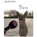 수리산랜드 이미지