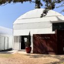 도영 농장 이미지