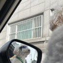 쿠이다르 이미지