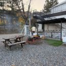 서울 근교 애견 동반 글램핑 두번째 방문 내돈내산 후기 핫도그342