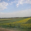 신강농장 이미지