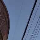 꿀꿀이 숯불구이 이미지