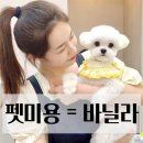 애견미용 이미지