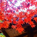 11월 17일 월요일 간추린 뉴스와 날씨 이미지