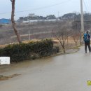 판관오리 이미지