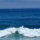 바다정원 이미지