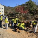 한영자원 이미지