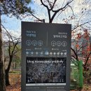 황새울교 앞 네이버블로그