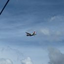 블루코스트 | 하와이 카우아이 여행 나팔리코스트 스노쿨링 투어 | 블루 돌핀 차터스 후기