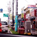 금아여행사