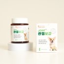 레프코리아 | 강아지 관절영양제 언제부터 먹여야 할까? 나이별 관리법