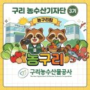 영광농수산물 | [농구리][농수산기자단 3기 첫번째 이야기] 선정 후기와 공사ㆍ팀 소개