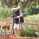 뚜루하우스 이미지