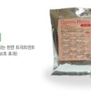 체사레헤어