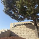 모네빌딩 | MMCA 국립현대미술관 과천｜신상호 무한변주 소름 돋은 후기, 모네 수련, 물품 보관함 주차비 라운지까지!