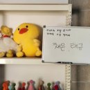 230729 민호정민스튜디오 대가족사진 촬영 후기👨‍👩‍👧‍👦📸