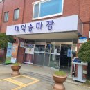 대구승마장 체험승마[대덕승마장]아이와 가볼만 한 곳