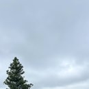 환영목장(2) 이미지