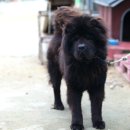 동서울 승마장 이미지