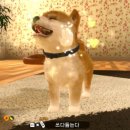 주식회사 펫프렌즈 이미지