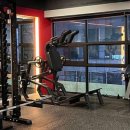 바디모어핏 이미지