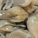 세일수산