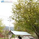 그늘막65 이미지