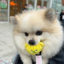 수원-0578 이미지