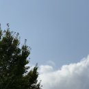 형제복지지원재단 | [KT&amp;G복지재단 상상위더스] EP.01 지원과정ㅣ서류 작성 및 면접 준비