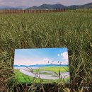 거차농원 이미지