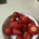 경현농장 이미지