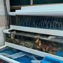 독도게찜 | [중랑구맛집] 망우동대게 맛집 '독도게찜' 방문 후기