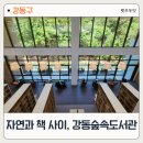 책사랑쉼터도서관 | 숲속 쉼터 같은 강동숲속도서관, 초록 안에서 책을 읽다