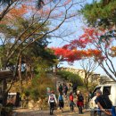 [북악산 - 인왕산 - 안산] 서울 등산 초보자 1편 북악산 초보 산행코스