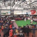 정선신토불이