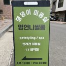 멍언니 쌀롱 이미지